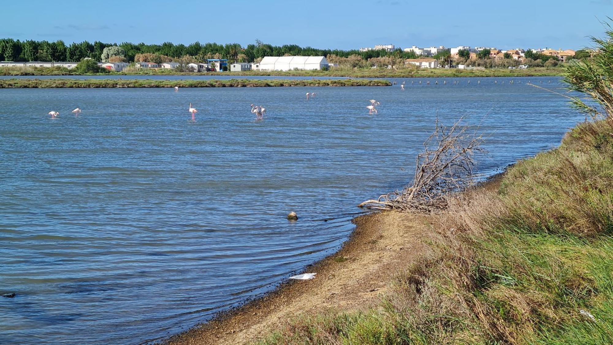 Mobilhome Au Camping Les Salins De La Gardiole Ex Camping Europe Vic-la-Gardiole Exterior foto